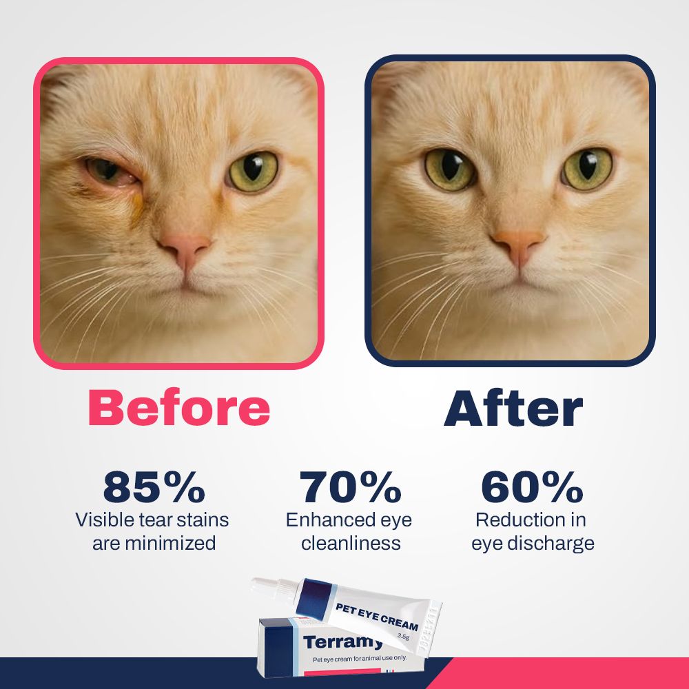 Pet Eye Cream 3.5g Tube – Natural Eye Care for Dogs, Cats, Puppies, Kittens, Horses, Sheep & Cattle | Reduces Redness, Discharge & Tear Stains | Gentle Relief Formula