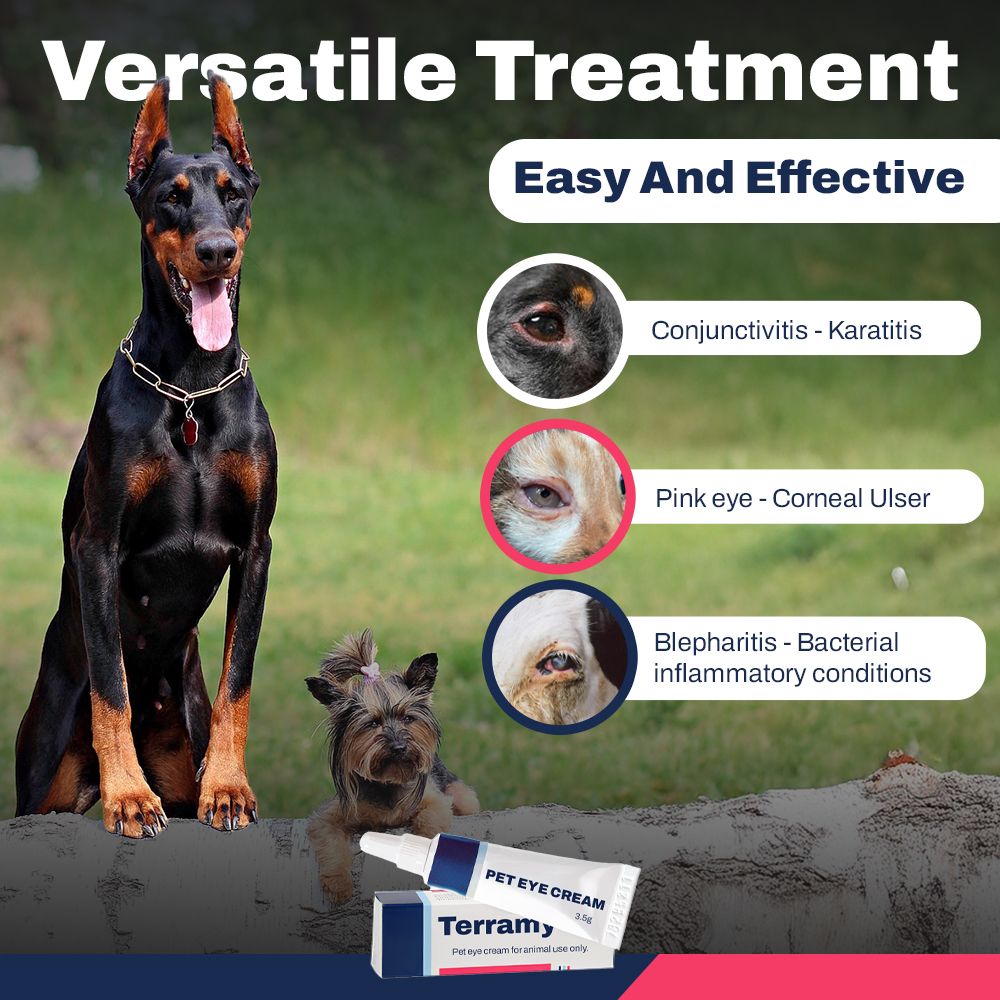 Pet Eye Cream 3.5g Tube – Natural Eye Care for Dogs, Cats, Puppies, Kittens, Horses, Sheep & Cattle | Reduces Redness, Discharge & Tear Stains | Gentle Relief Formula