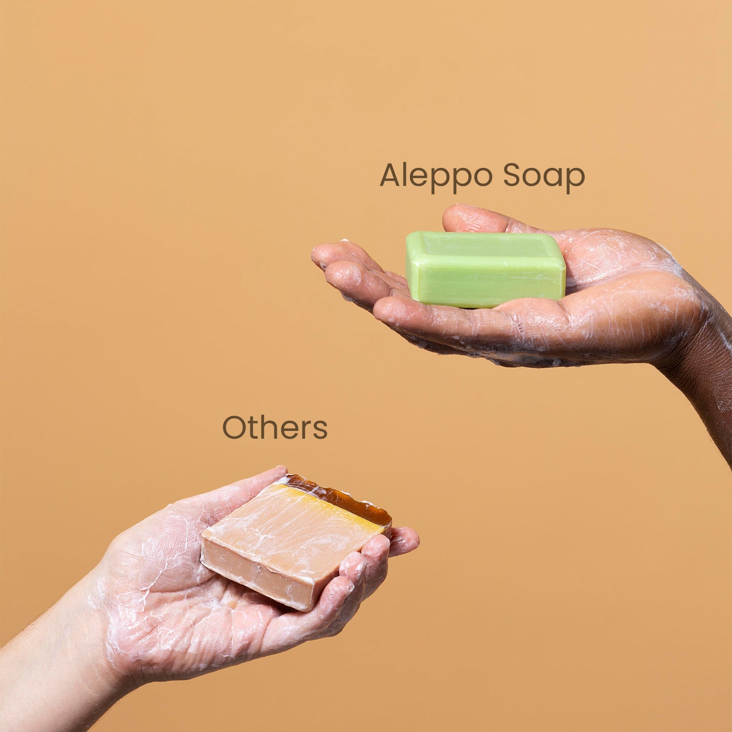 Aleppo Soap 2 Pack (6 oz Each) – 20% Laurel & 80% Olive Oil, Gift-Ready Natural Soap in Premium Box, Handmade Vegan Organic Skincare